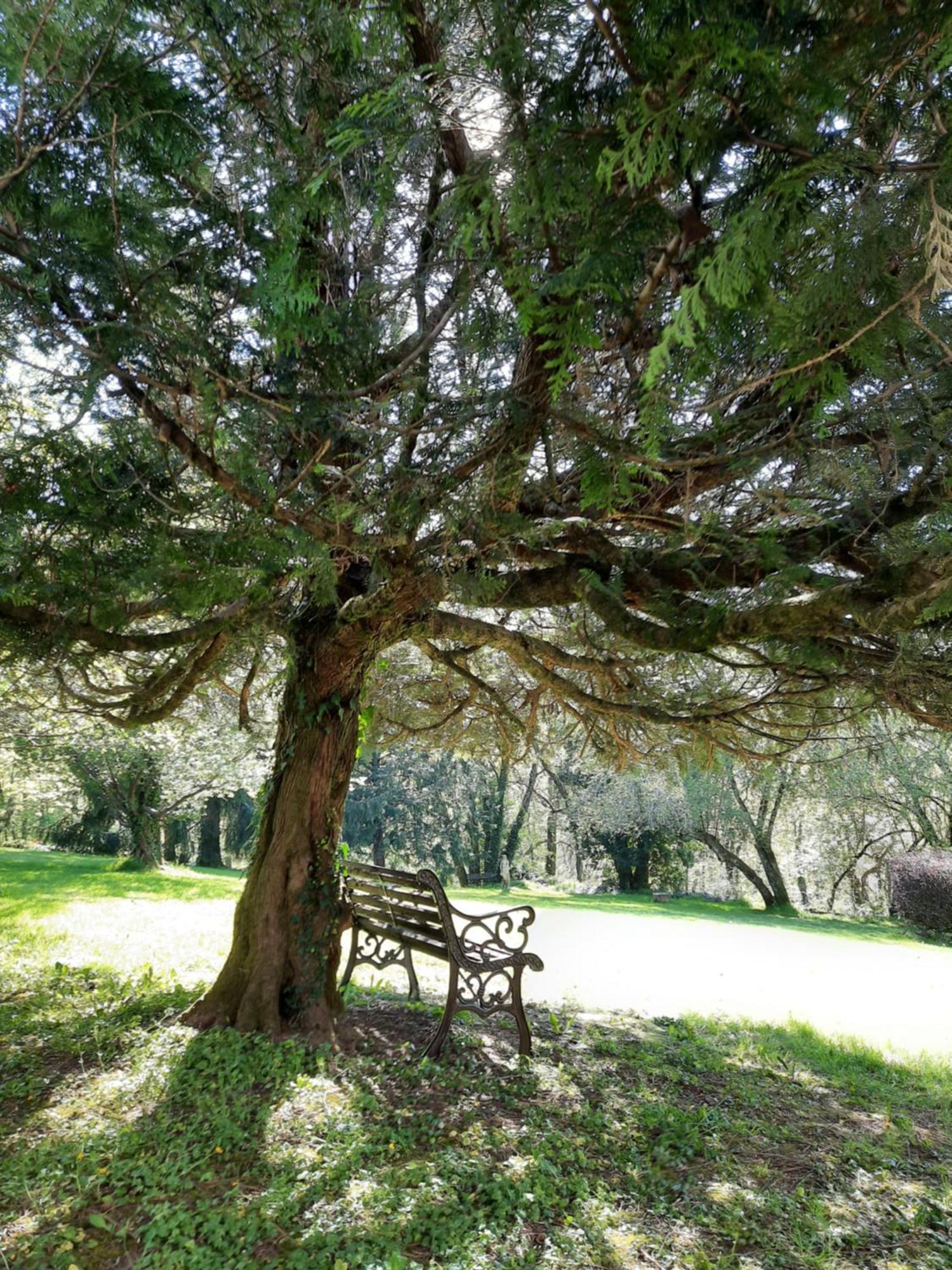 Manoir XV Domaine De Peyrafort Tulle Bagian luar foto